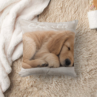 Cojín Decorativo Nombre de Mascota Personalizado Foto