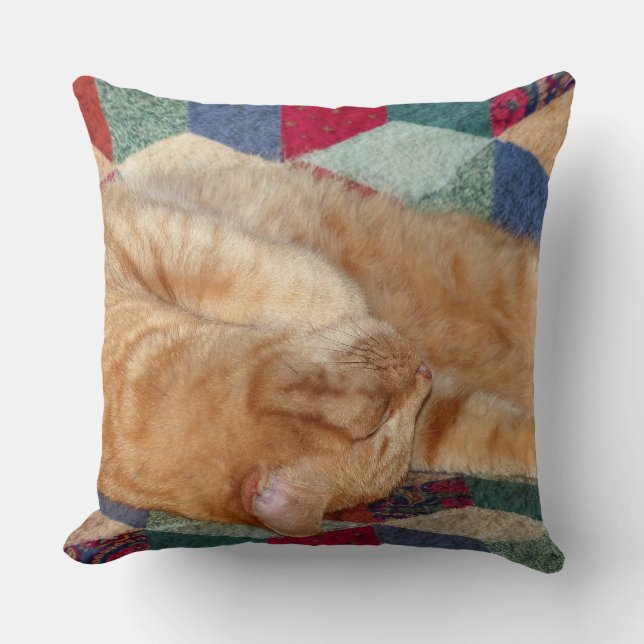 Cojín Decorativo Nomenclatura de gatos (Anverso)