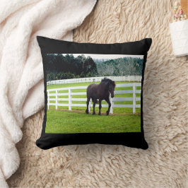 Cojín Decorativo Nonesuch en Cedar Point