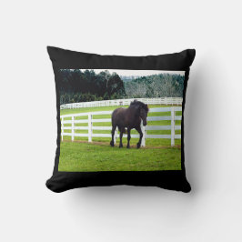 Cojín Decorativo Nonesuch en Cedar Point