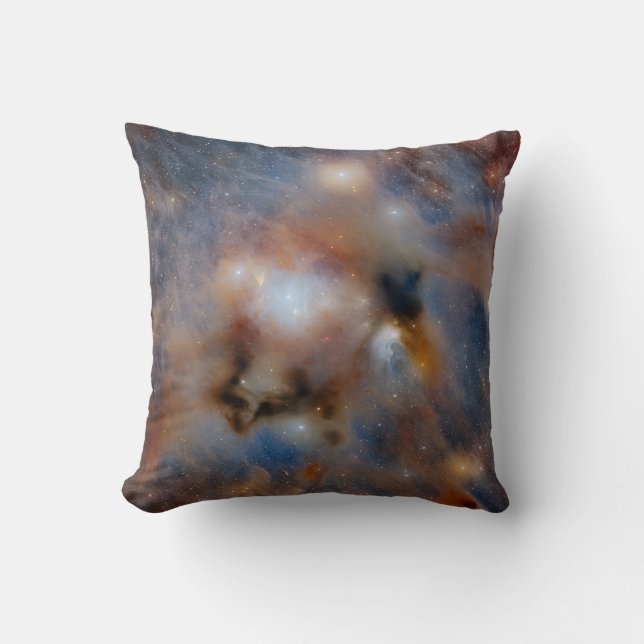 Cojín Decorativo Nube oscura Chamaeleon I (Anverso)