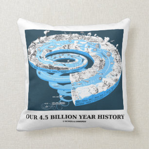 Cojín Decorativo Nuestra 4,5 mil millones historias del año (tiemp