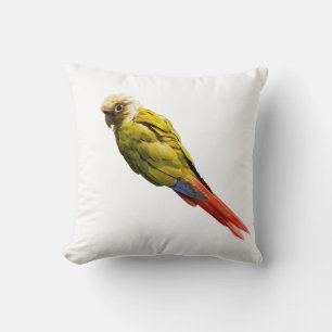 Cojín Decorativo Numchoke no es un pájaro