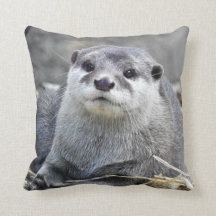 Nutria Pequeño-Agarrada asiático