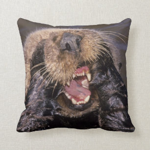 Cojín Decorativo Nutrias marinas, Enhydra lutris 6