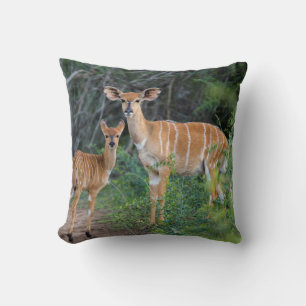 Cojín Decorativo Nyala (Tragelaphus Angazii) con cría, Ndumo