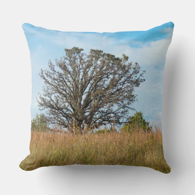 Cojín decorativo Oak Tree and Tall Grass Prairie (Anverso)