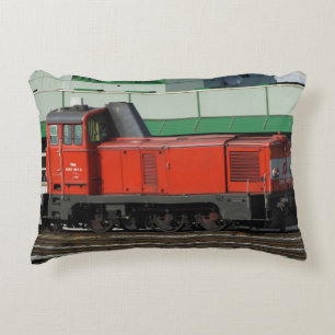 COJÍN DECORATIVO ÖBB 2067 097-2