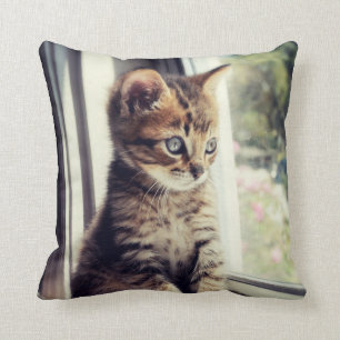 Cojín Decorativo Observación del gatito del Tabby