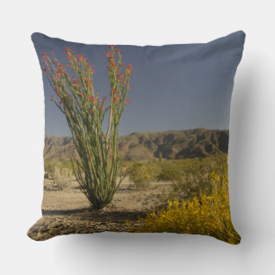 Cojín Decorativo Ocotillo y senna del desierto
