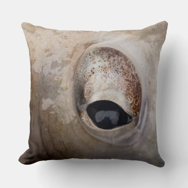 Cojín Decorativo Octopus Eye (Anverso)