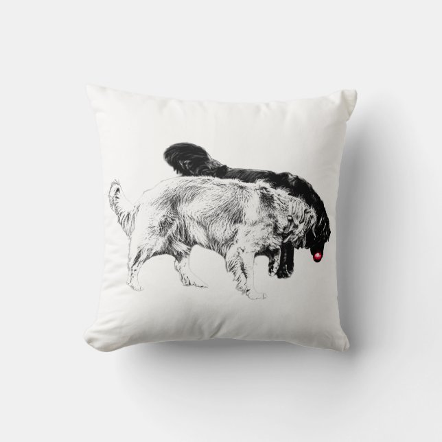 Cojín Decorativo Octubre Lantern Chase (Anverso)