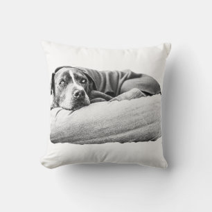 Cojín Decorativo Octubre Slumber