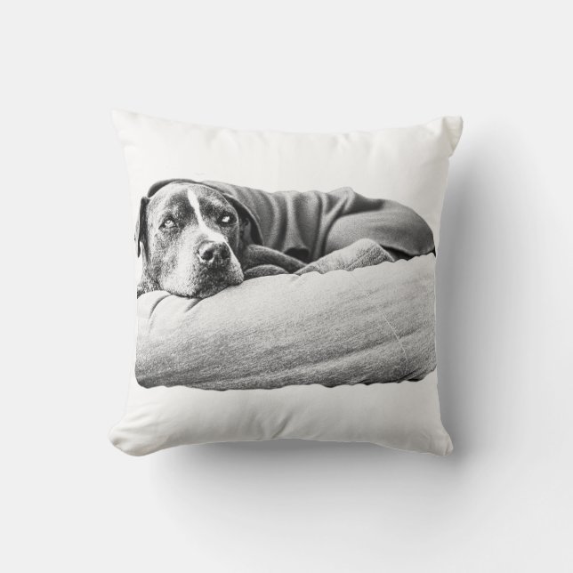 Cojín Decorativo Octubre Slumber (Anverso)