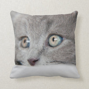 Cojín Decorativo Ojos de gato