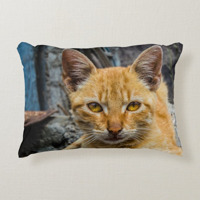 Cojín Decorativo Ojos dorados (Anverso)