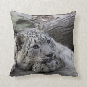 Cojín Decorativo Onza agujereada Cub