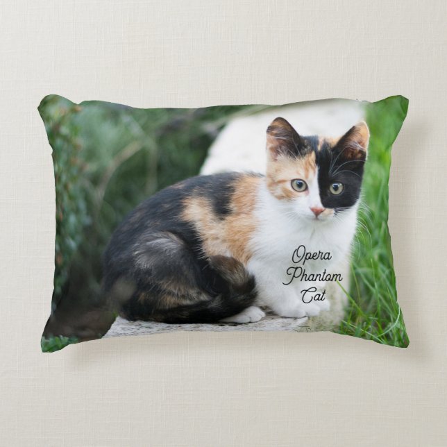 Cojín Decorativo Ópera Fantasma Cat Accent Pillow (Anverso)