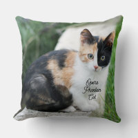 Opera Gato fantasma