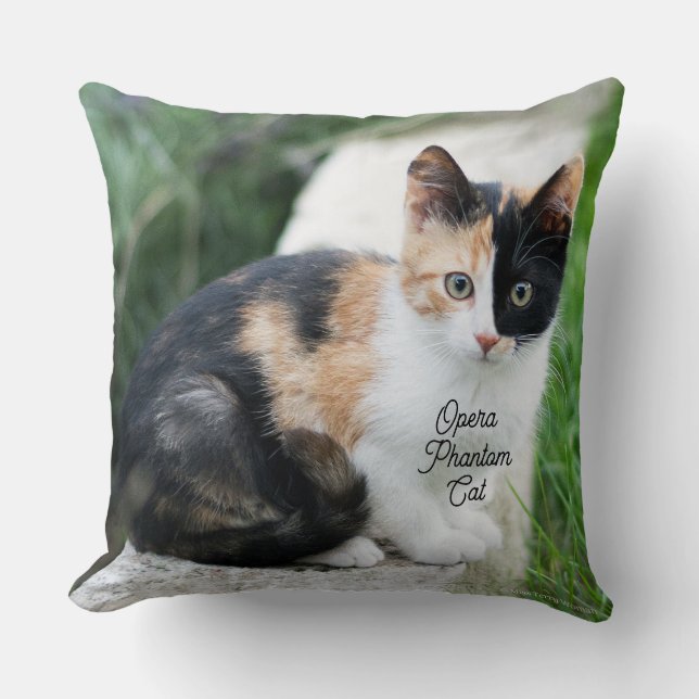Cojín Decorativo Opera Gato fantasma (Anverso)