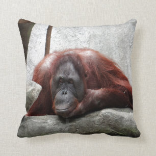 Cojín Decorativo Orangután