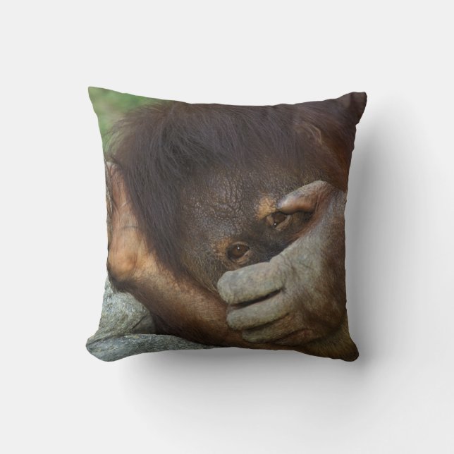 Cojín Decorativo Orangután de Sumatra, Pongo pygmaeus (Anverso)