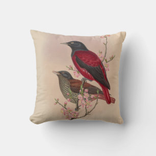 Cojín Decorativo Oriol Rojo de John Gould