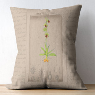 Cojín Decorativo Orquídea de araña de Ilustracion botánico de Franc