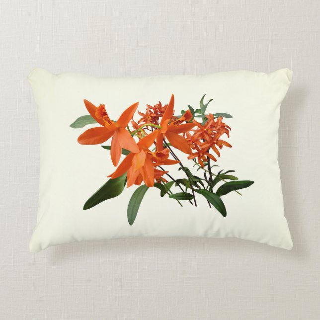 Cojín Decorativo Orquídea Epidendrum Naranja (Anverso)
