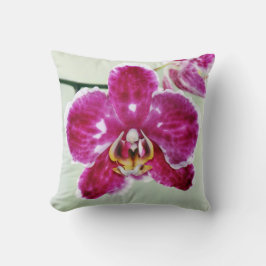 Cojín Decorativo Orquídea rosa