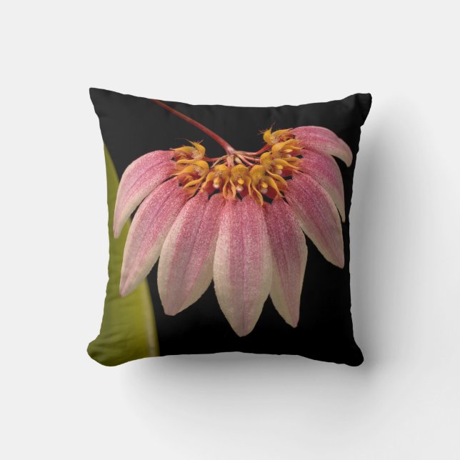 Cojín Decorativo Orquídea rosa tropical (Anverso)