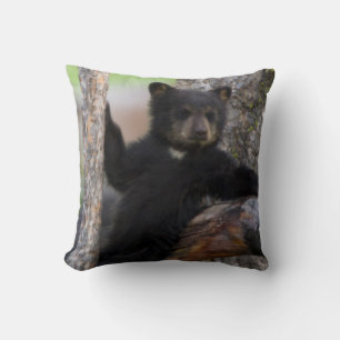 Cojín Decorativo Osezno de osos negros descansando