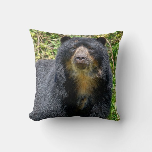 Cojín Decorativo Oso andino cerrado (Anverso)