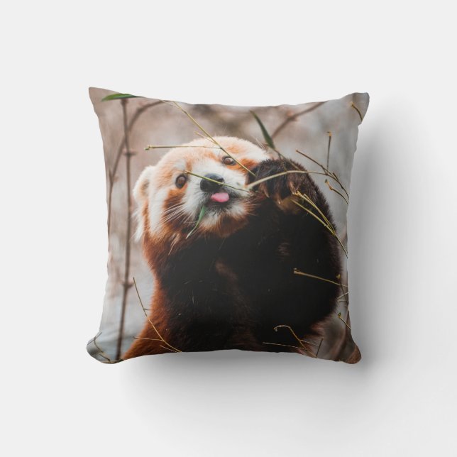 COJÍN DECORATIVO OSO CUTE KOALA (Anverso)