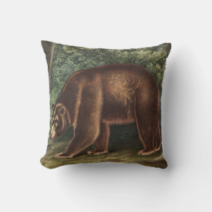 Cojín Decorativo Oso de Cinnamon (Ursus Americanus var. Cinnamonum)