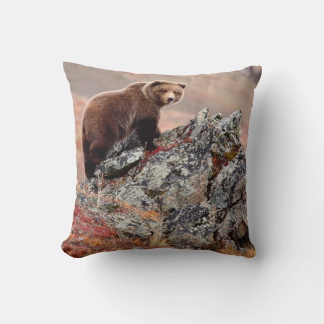 Cojín Decorativo Oso de Denali Brown (Anverso)