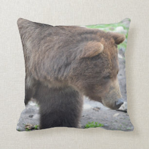 Cojín Decorativo Oso grizzly