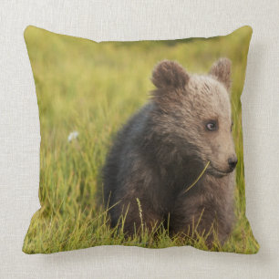 Cojín Decorativo Oso grizzly Cub