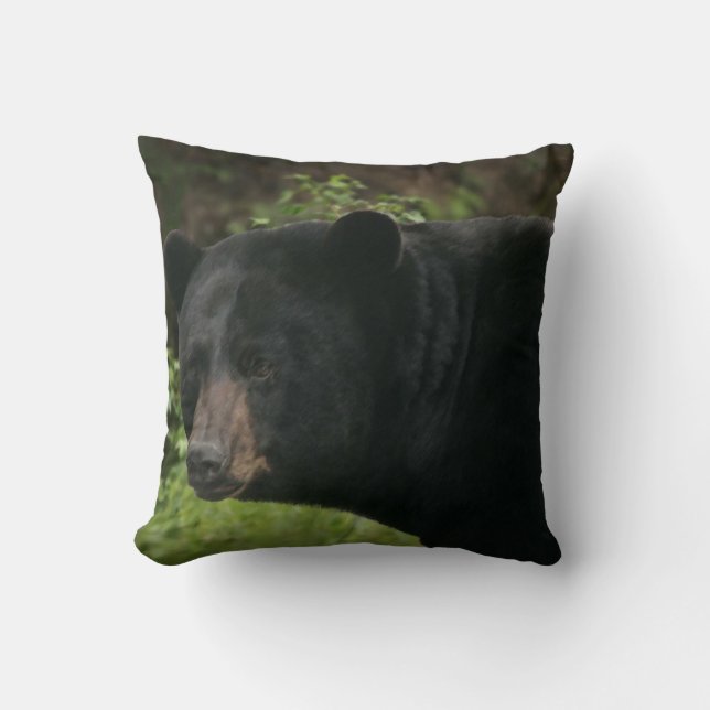 COJÍN DECORATIVO OSO NEGRO (Anverso)