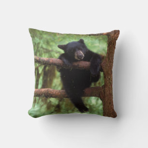 Cojín Decorativo oso negro, Ursus americanus, cría en un árbol