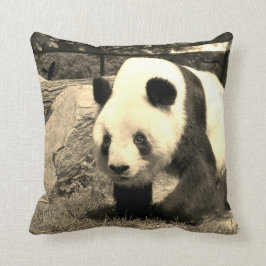 Cojín Decorativo Oso Panda