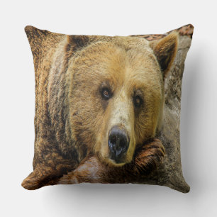 Cojín Decorativo Oso Pardo Salvaje