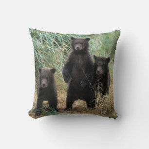 Cojín Decorativo oso pardo, Ursus arctos, oso grizzly, Ursus 7 2
