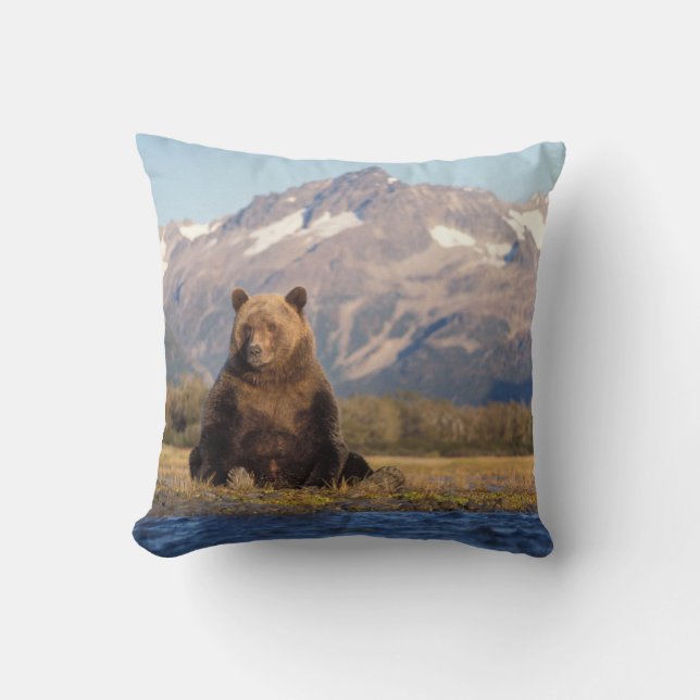 Cojín Decorativo oso pardo, Ursus arctos, oso pardo, Ursus (Anverso)