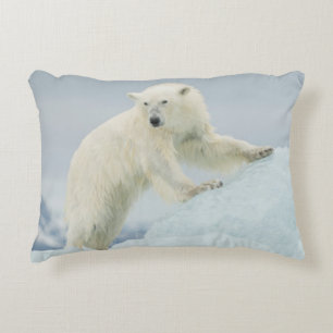 Cojín Decorativo Oso polar en verano