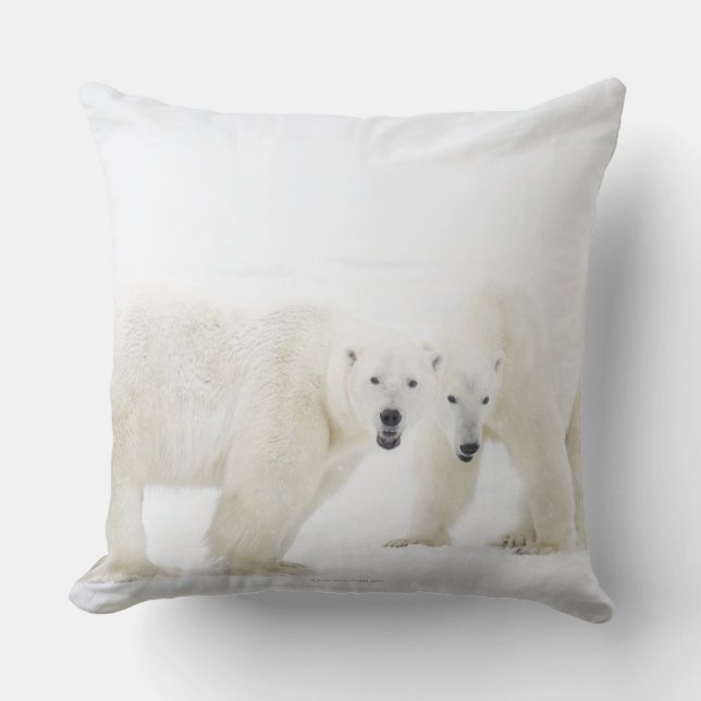 Cojín Decorativo Osos polares que se colocan en nieve después de (Anverso)