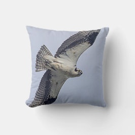 Cojín Decorativo Osprey en vuelo