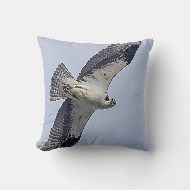 Cojín Decorativo Osprey en vuelo (Anverso)