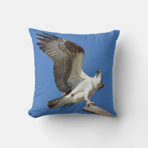 Cojín Decorativo Osprey Hawk estirando alas Pillow