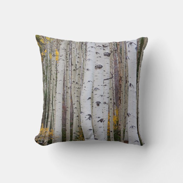 Cojín Decorativo Otoño en el Aspen (Anverso)